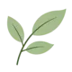 greeneryinside.com