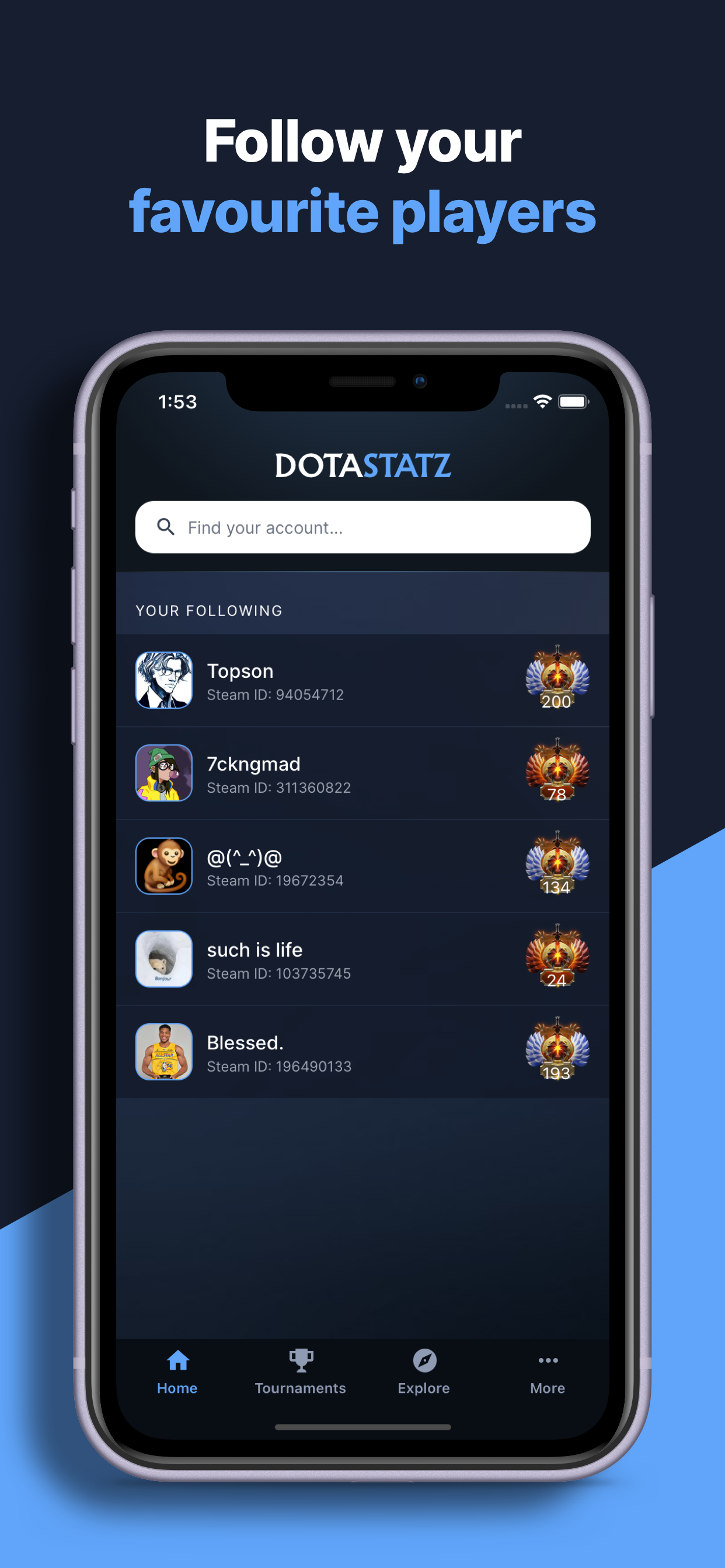 Dotastatz gallery image