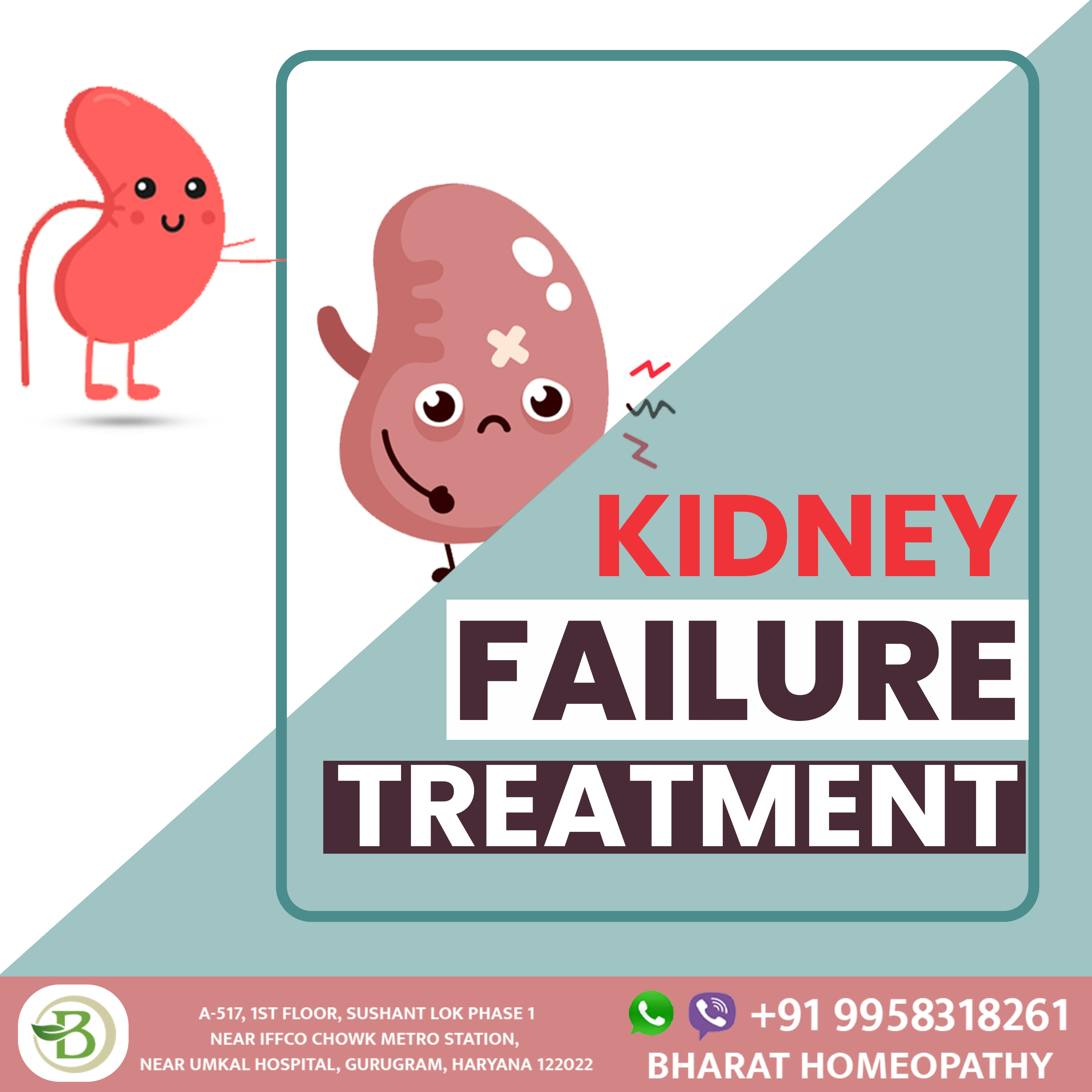 Kidney Failure Treatment By Homeopathy