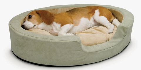 Select a Pet Bed with Stephanie Taunton gallery image