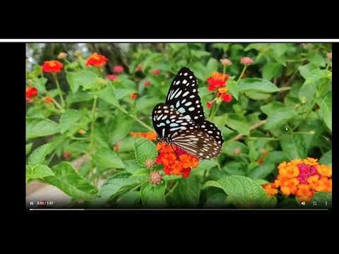 ComiFix gallery image