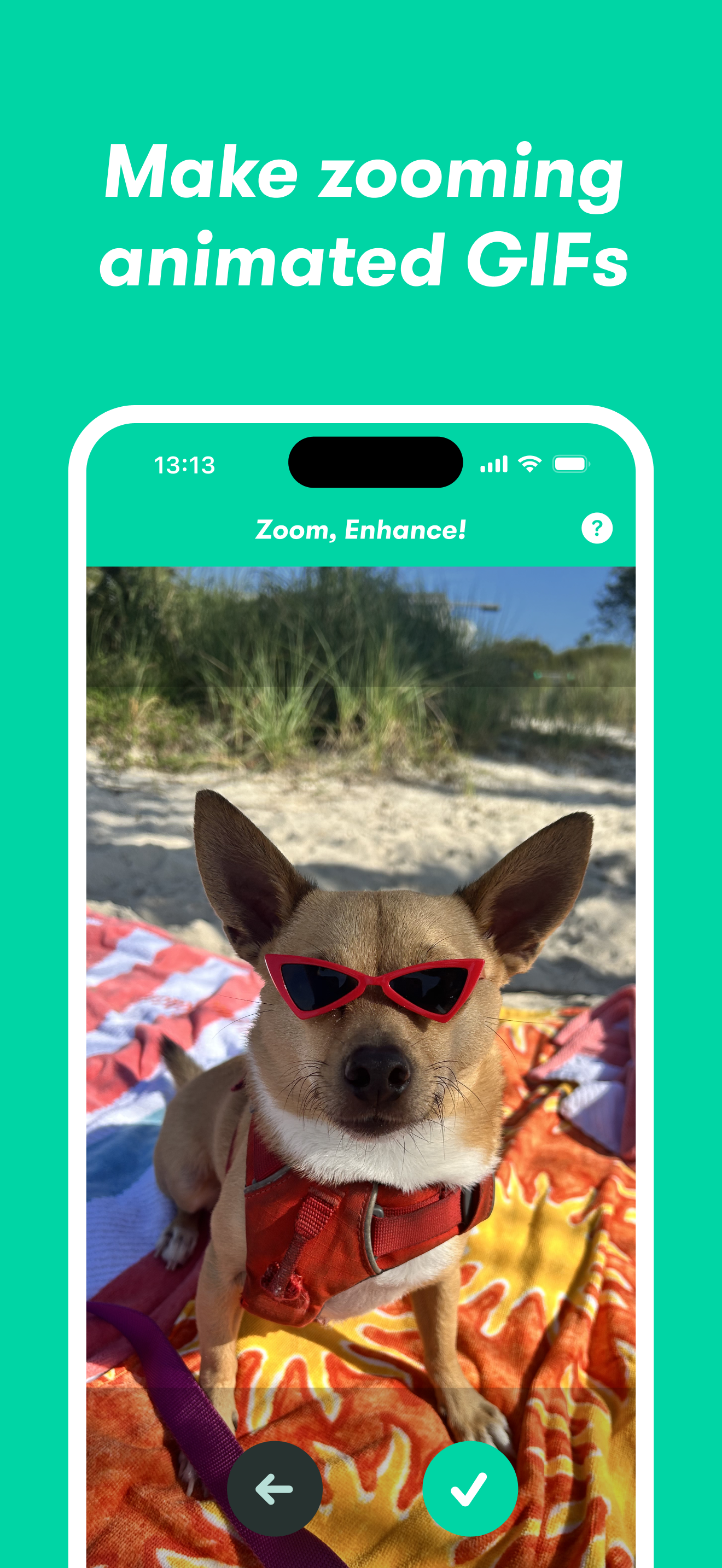 Zoom, geliştir!(V2) media 1