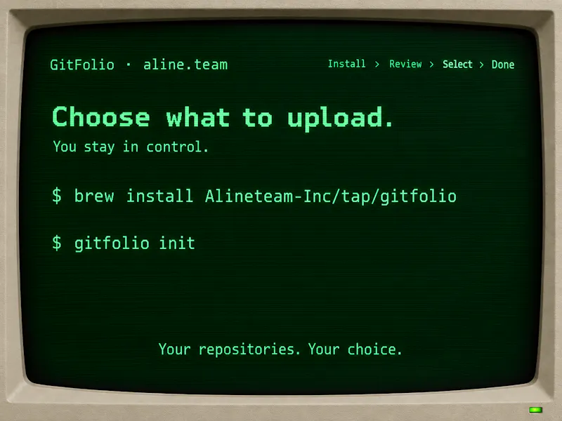 Developer Profile | Aline.team | CLI screenshot 11