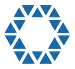 Polygon Annotation Services