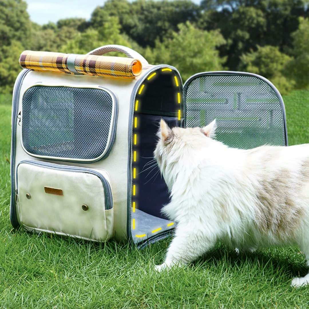 Everbliss Cat Store media 3