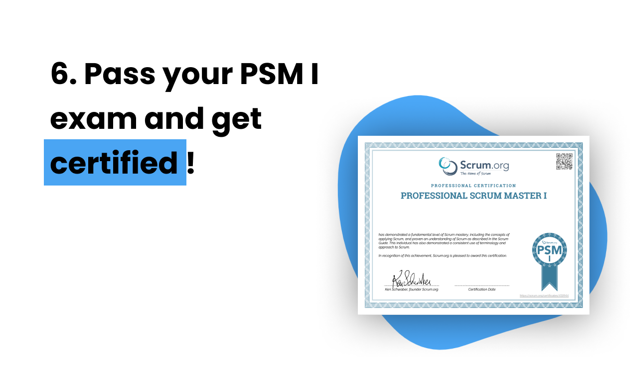 PSM1.org gallery image