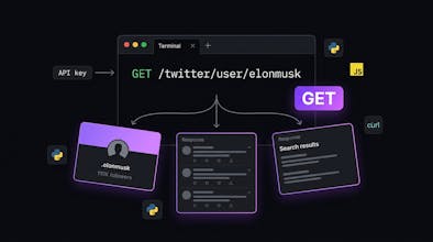 ApiTwitter gallery image