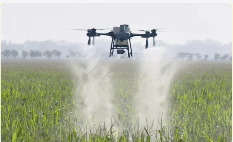 Flight Wing  gallery image