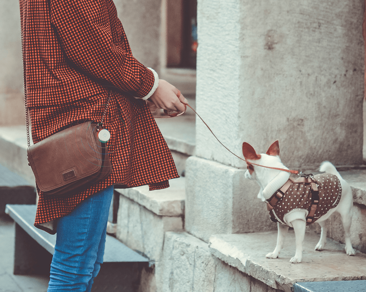 MicroBot Sense gallery image