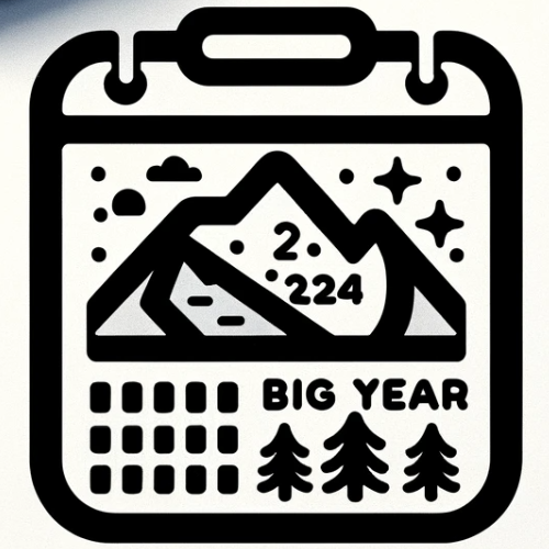 Big Year