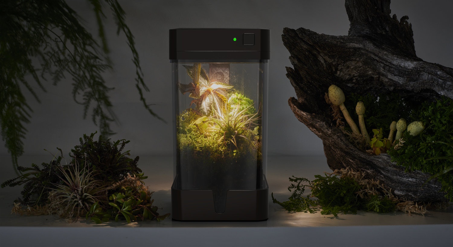 OrchidBox Smart Mini Terrarium 🌱 gallery image