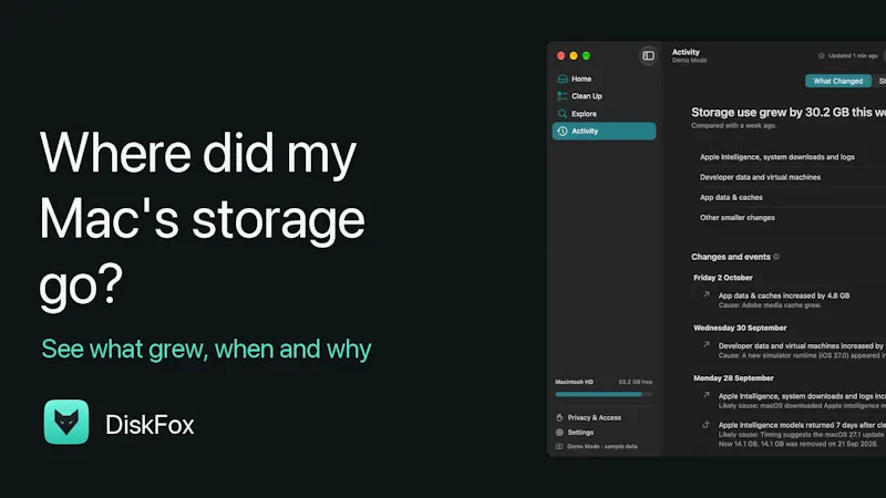 DiskFox screenshot 1 (video preview)