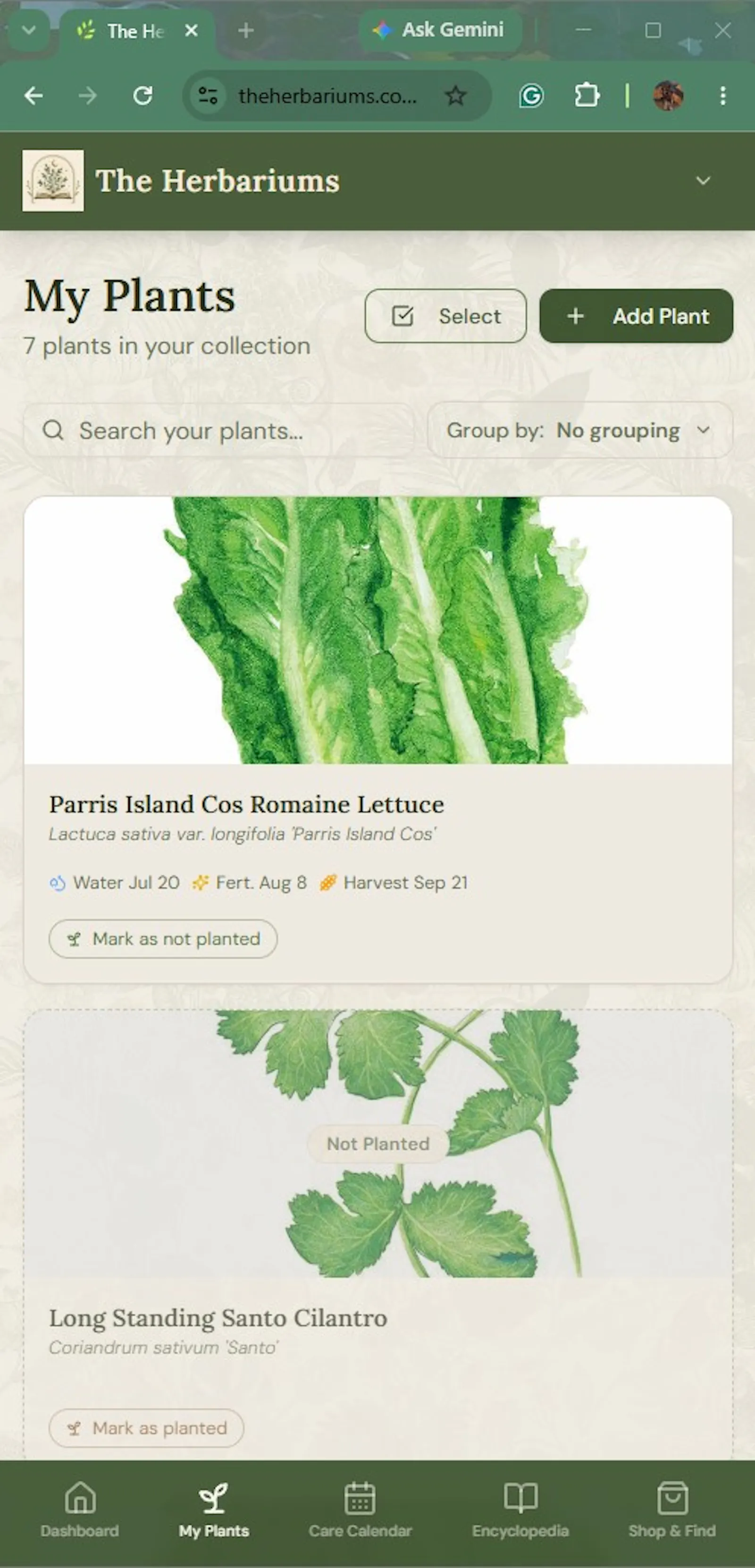The Herbariums screenshot 4