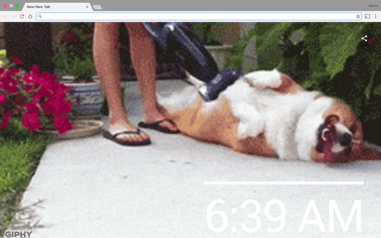 Aww New Tab gallery image