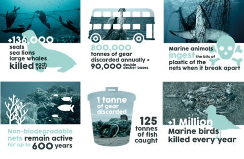 Sea2see gallery image