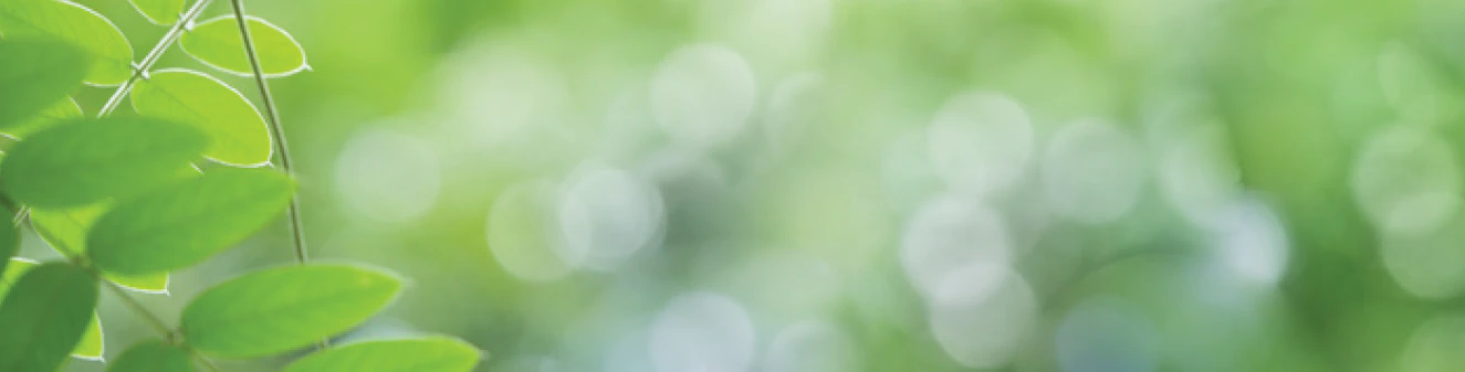 Naturally Free Sustainable cover