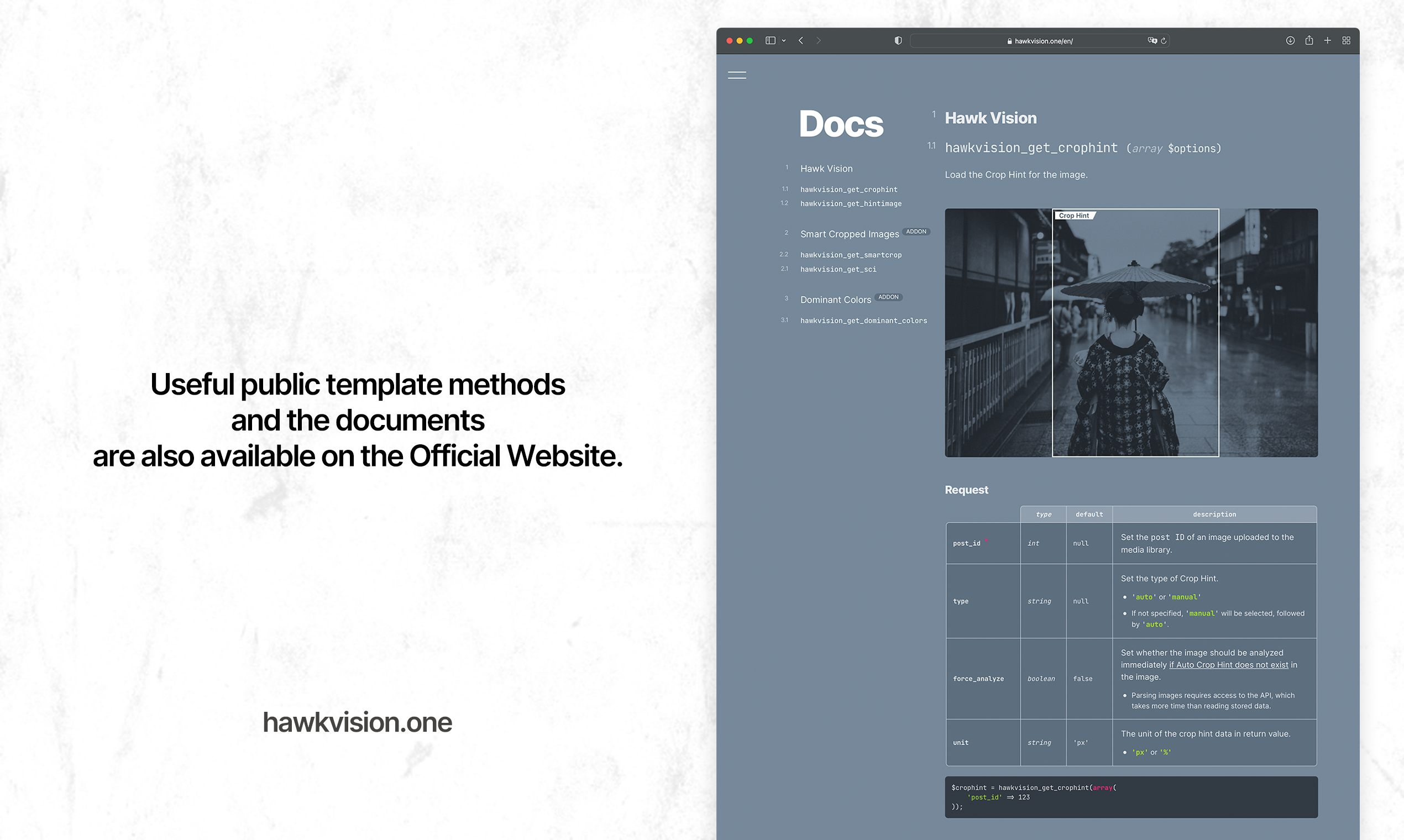 Hawk Vision – WordPress Plugin gallery image