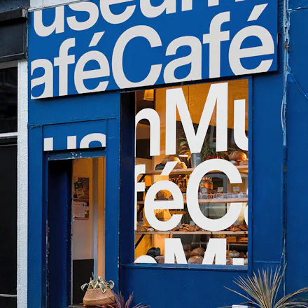 LiveSurface gallery image