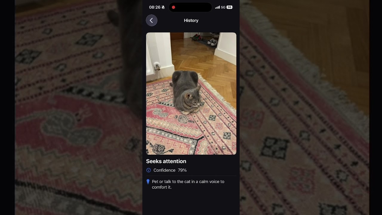 Cat Sense gallery image