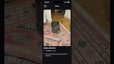 Cat Sense gallery image