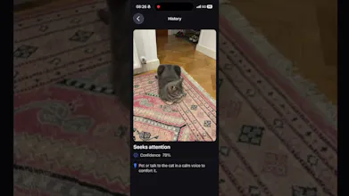 Cat Sense gallery image