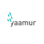 yaamur