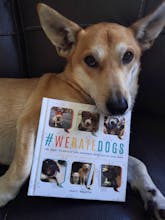 #WeRateDogs Book gallery image