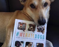#WeRateDogs Book media 2