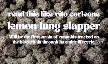 The Emerald Triangle Blockchain Project gallery image