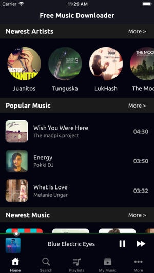 Music Downloader & Player gallery image