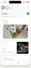 Yumipal — Your Pet's Smart Companion gallery image