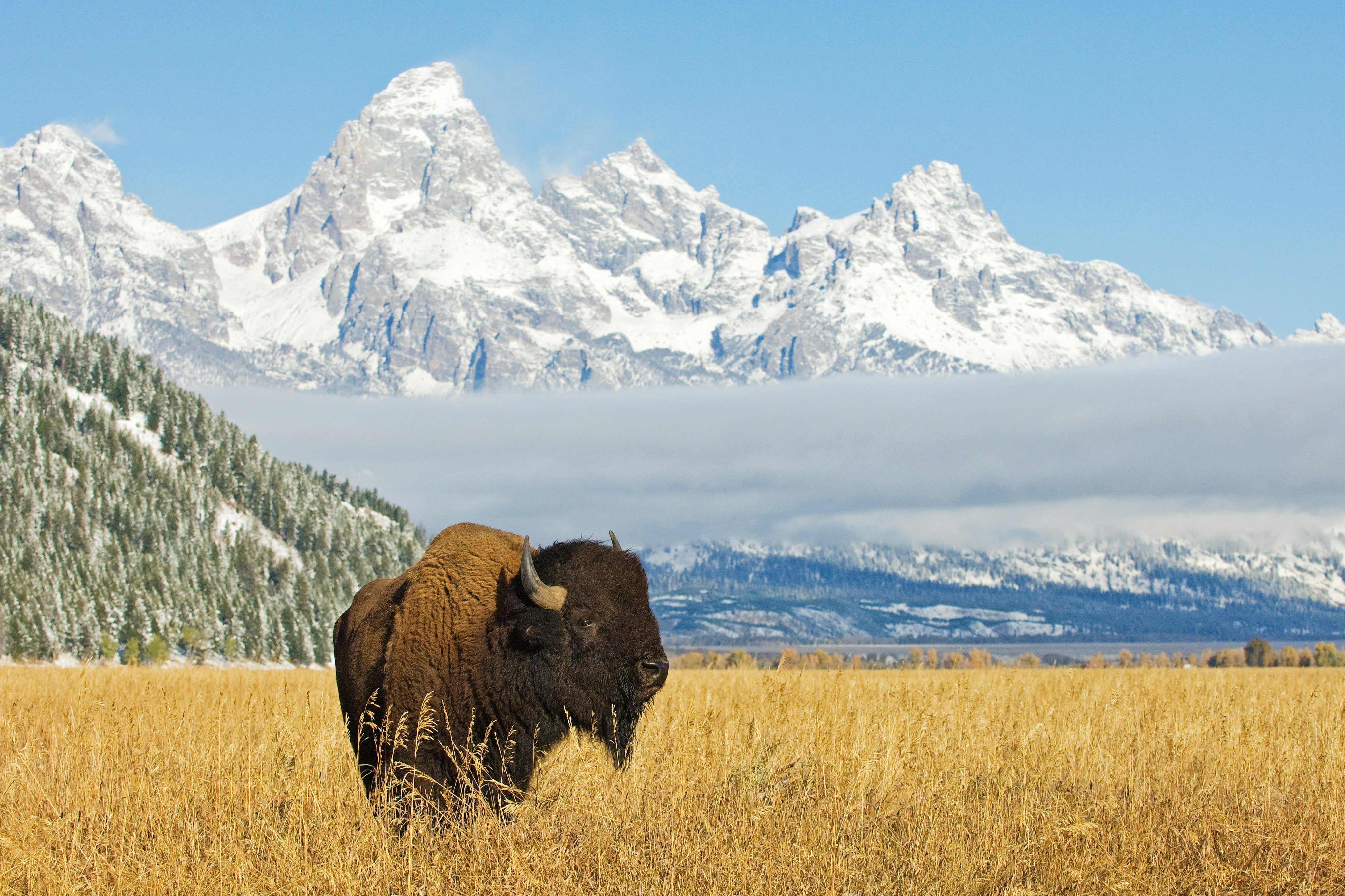 5 free mountaineering planning tools. gallery image