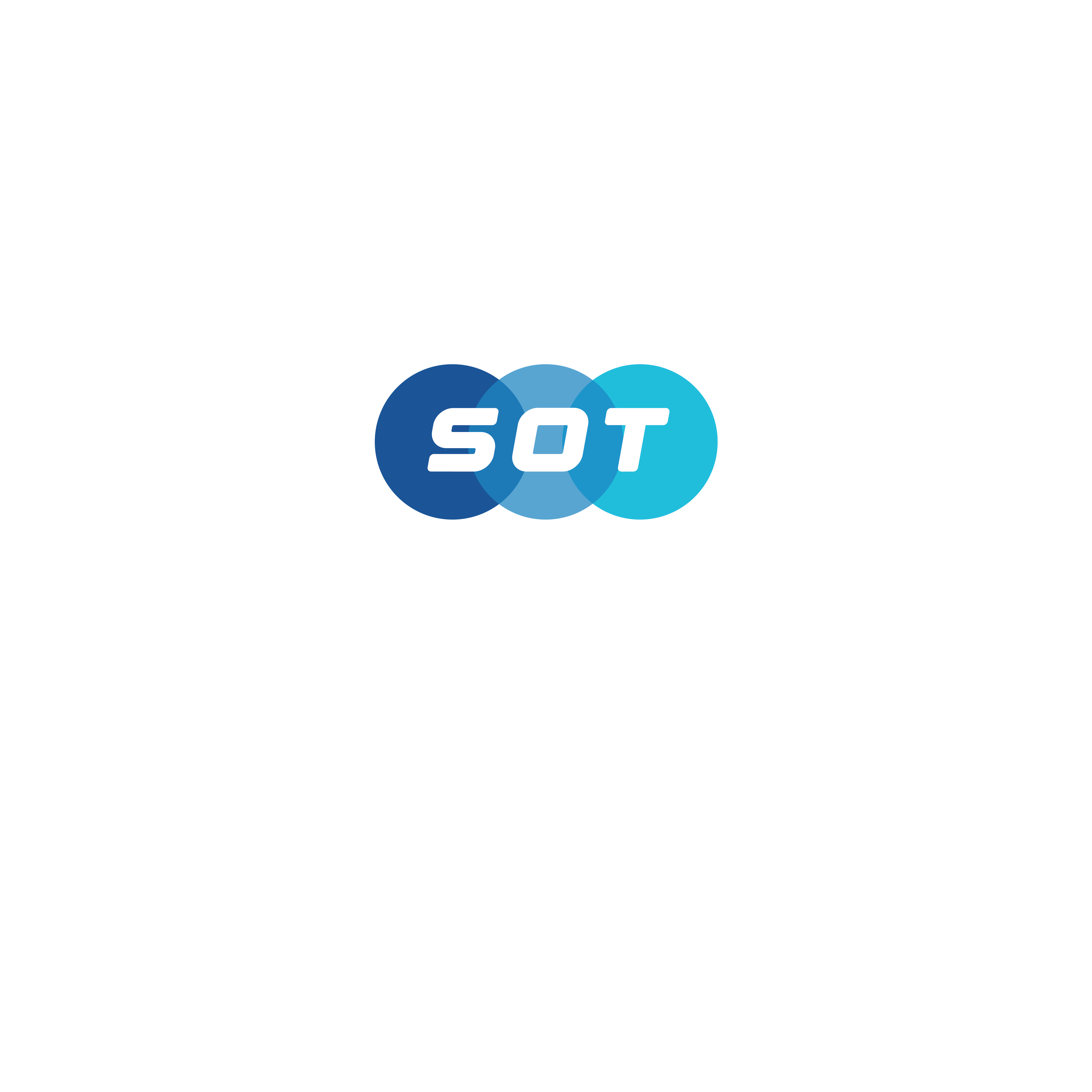 SalaryOnTime  - Product Hunt launch logo and brand identity