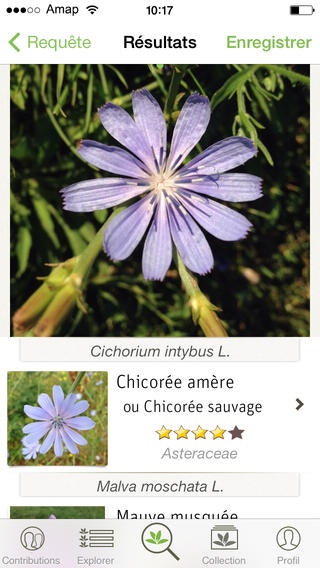 PlantNet gallery image