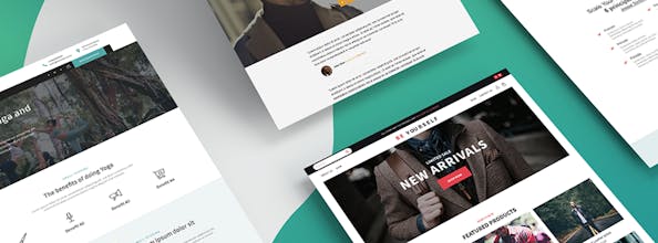 Funnel Wolf β’ gallery image