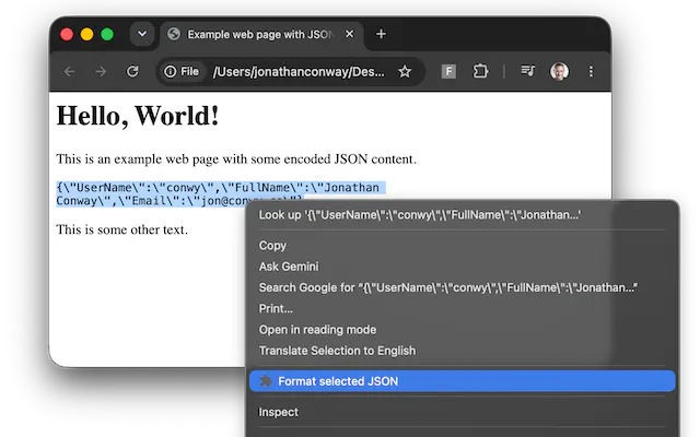 JSON Selection Formatter gallery image