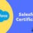 Salesforce Developer course