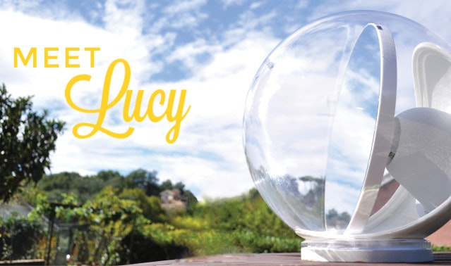 Lucy gallery image