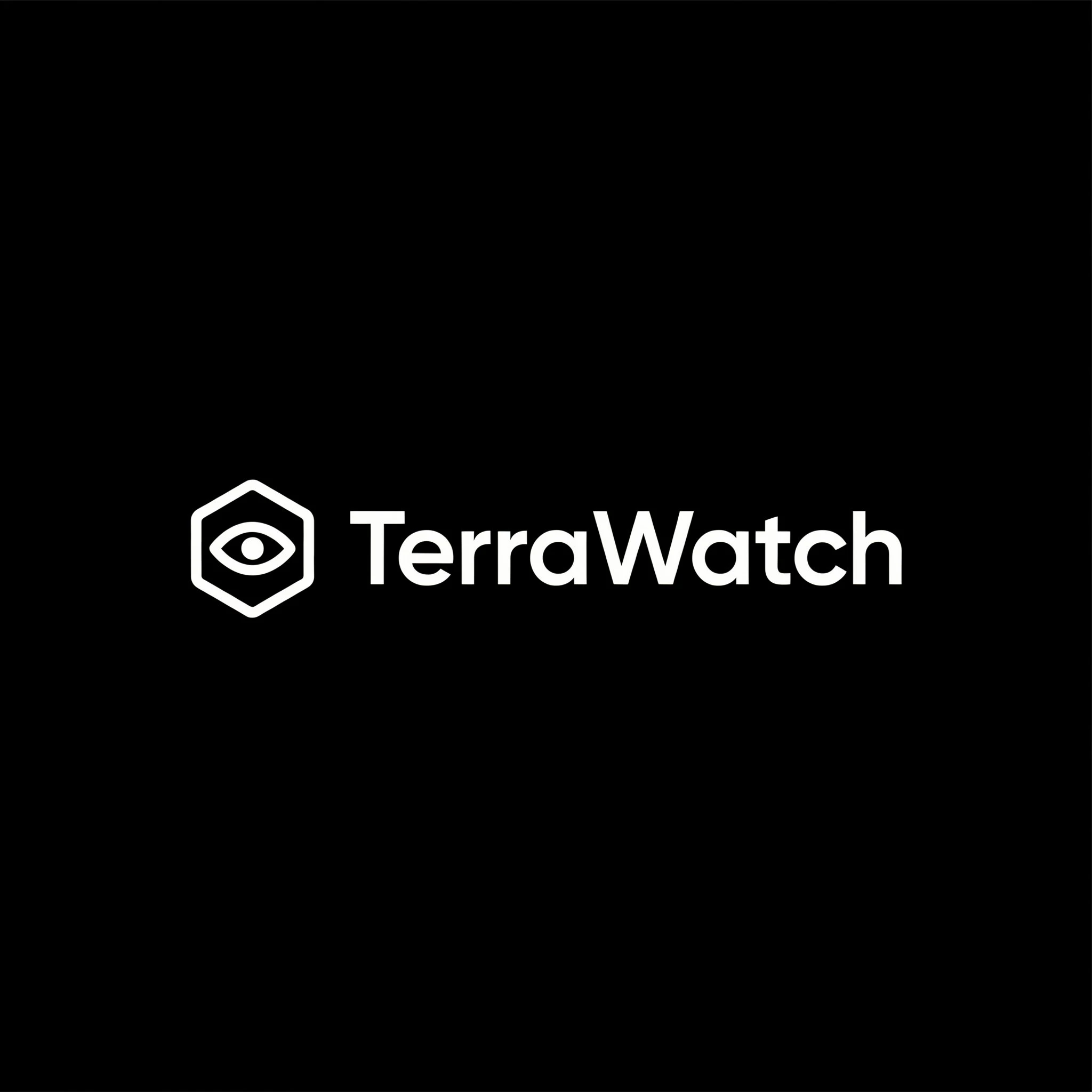 TerraWatch logo