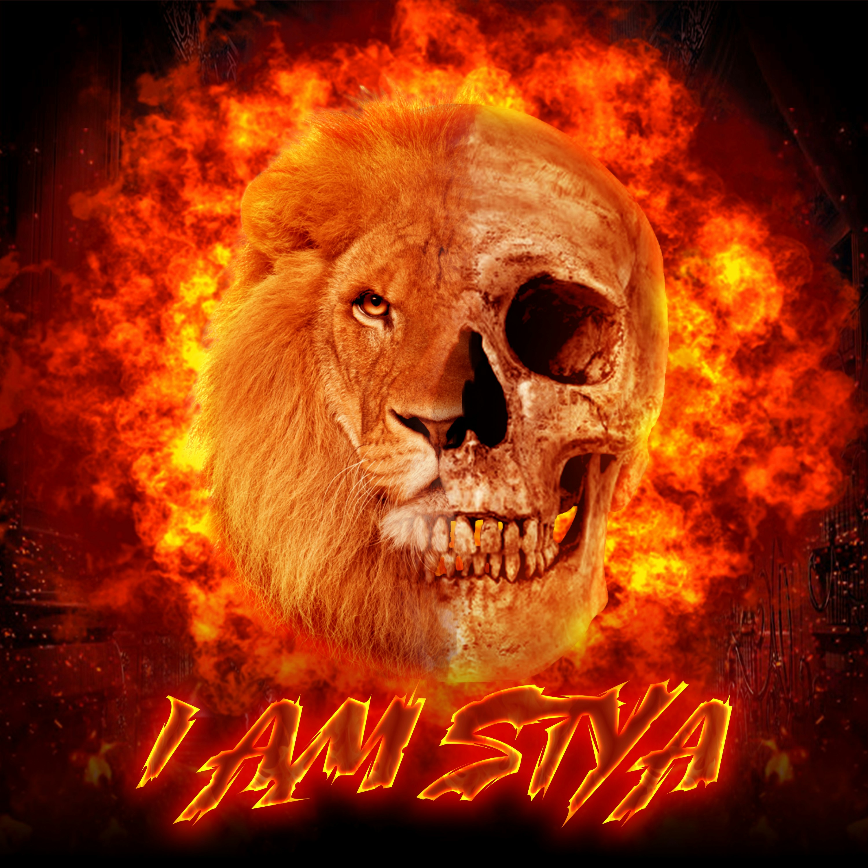 Dealfigure Entertainment Artist gallery image