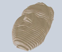 Vertical Art | Face gallery image