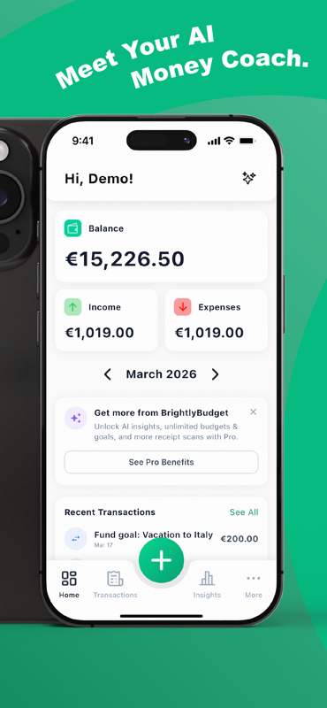 Brightly Budget: Money Coach gallery image