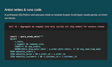 MindsDB Anton gallery image