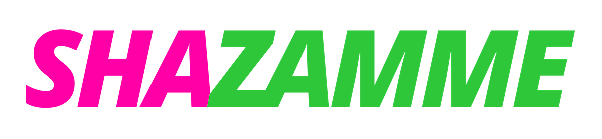 Shazamme - 招聘网站技术 - 阻力和集成媒体2