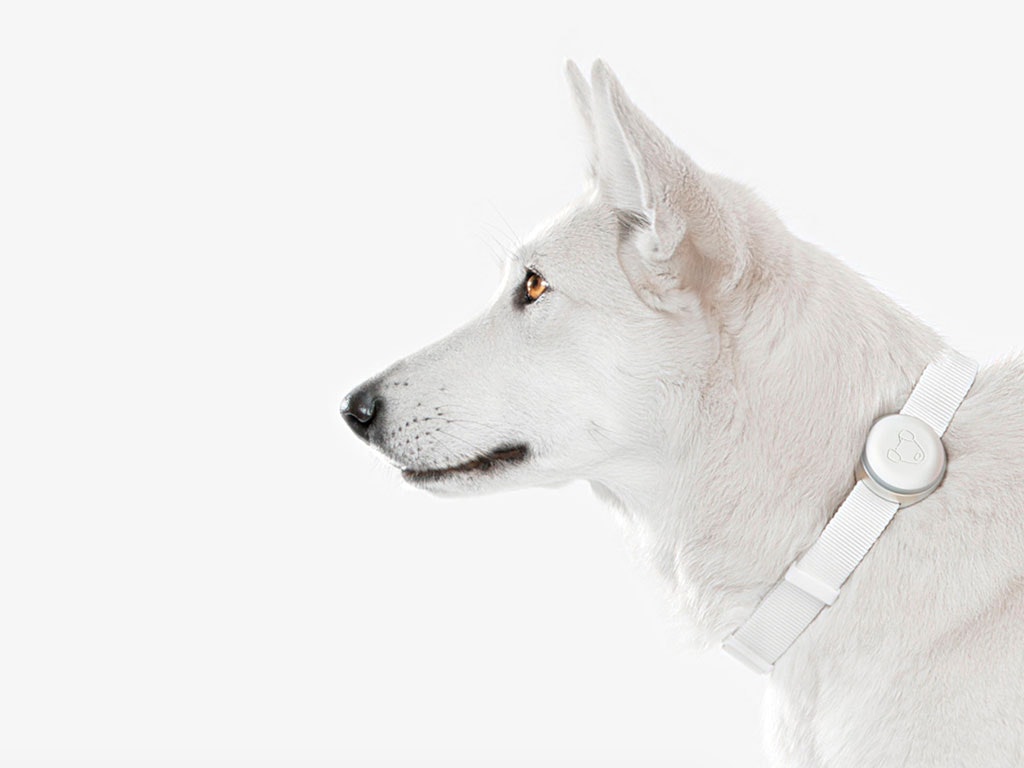 Mishiko gallery image