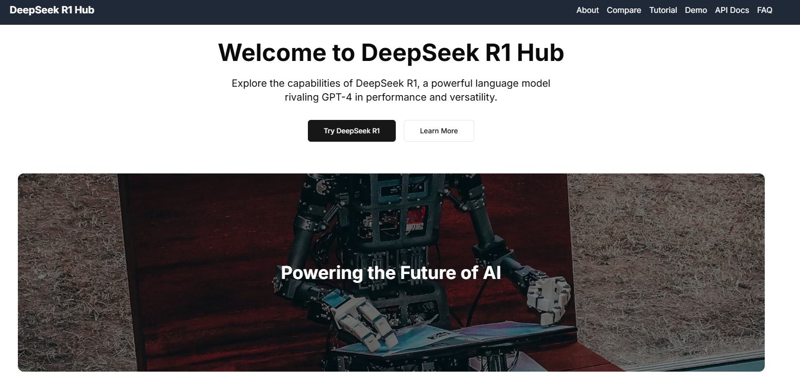 DeepSeek R1 Hub gallery image
