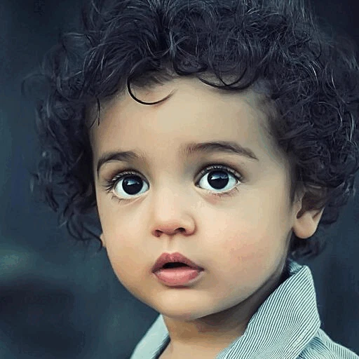 VanceAI Toongineer Cartoonizer 