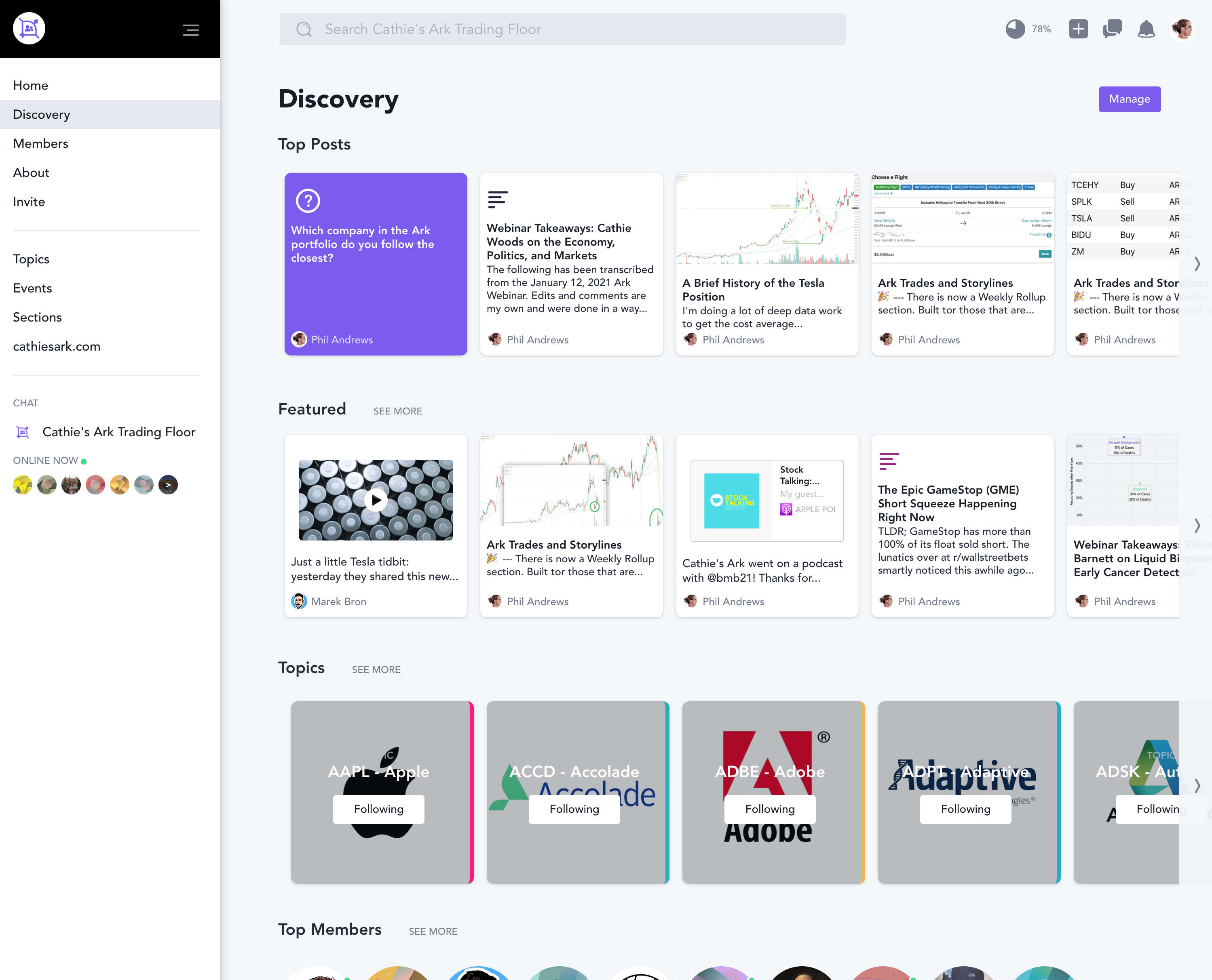 Cathie's Ark gallery image