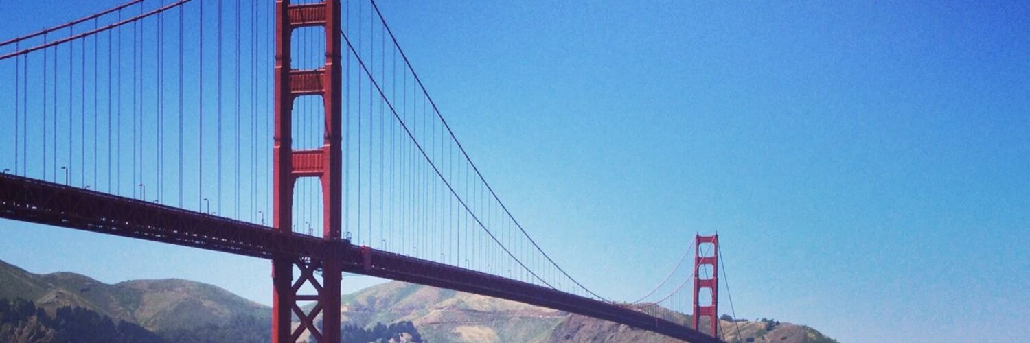 Holly Stephens cover