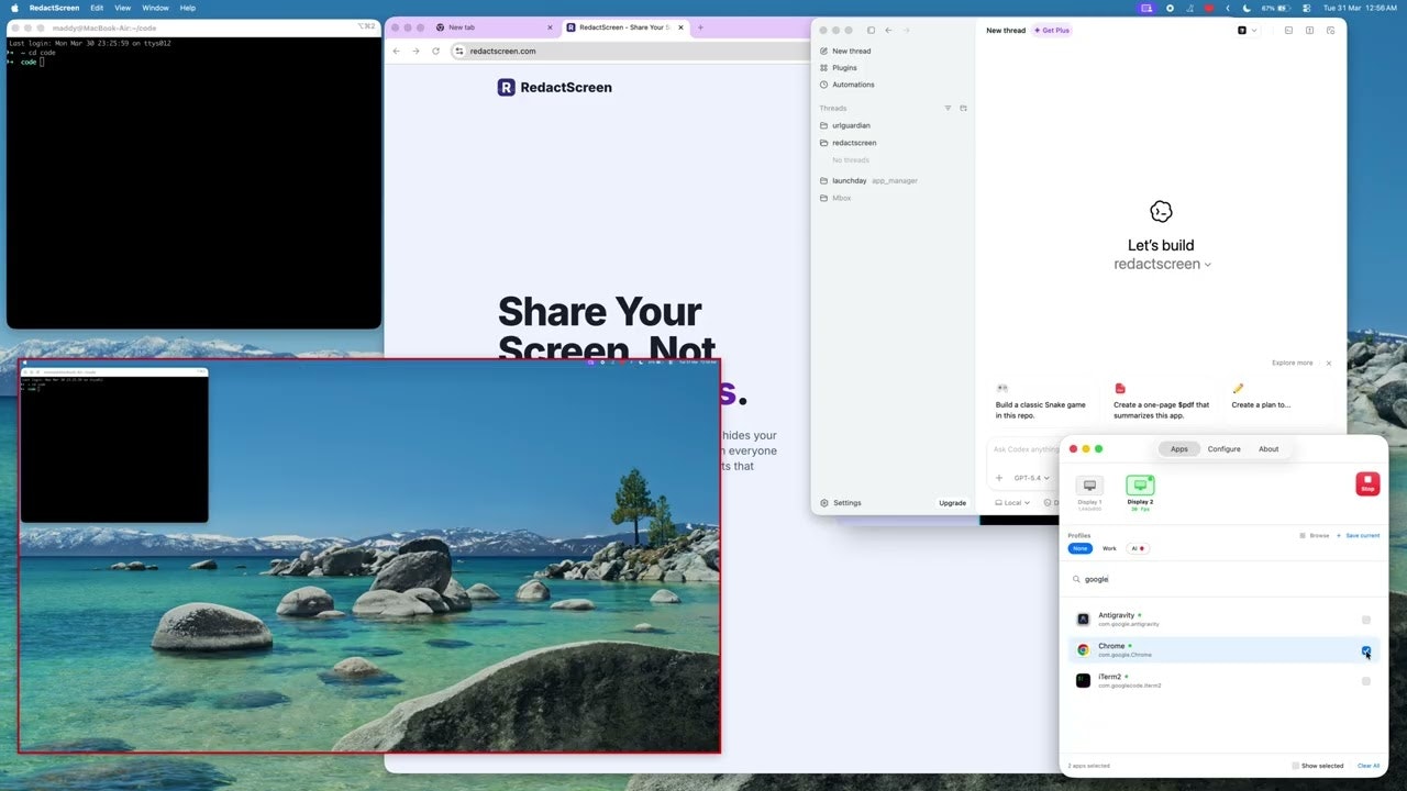 RedactScreen gallery image